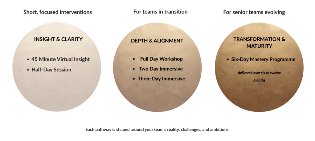 three brass circles with details of the courses written on top